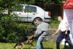20090728_1022626262_egercsehi_falunap_192