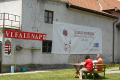 20090728_1180000055_egercsehi_falunap_080