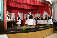 20090728_1316457892_egercsehi_falunap_063