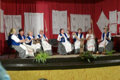 20090728_1592322566_egercsehi_falunap_071