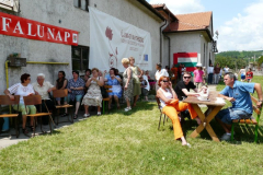 20090728_1611364810_egercsehi_falunap_093