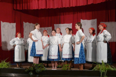 20090728_1629548526_egercsehi_falunap_058
