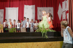 20090728_1858665843_egercsehi_falunap_038