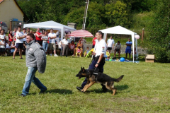 20090728_1920747918_egercsehi_falunap_196