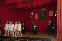 20091229_1204969689_karacsony_14