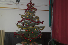 20091229_1638488161_karacsony_25