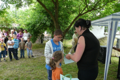 20110530_2023723198_p1160365