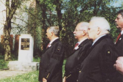 Koszoruzasra-varva