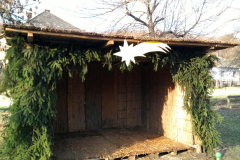 20101228_1836893118_fenykep0243