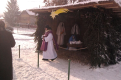 20101228_2065218746_fenykep0294