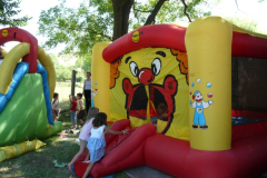20100712_1080599000_p1120285